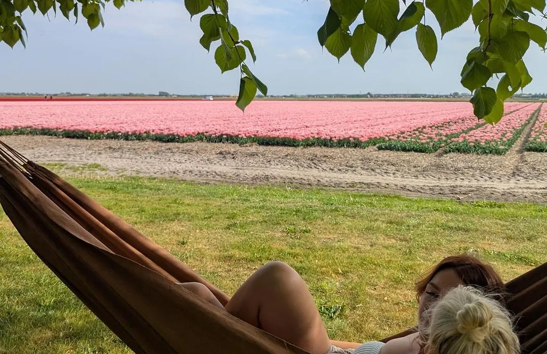Empty Spot On Grass Camping The Tulip No Beds-1