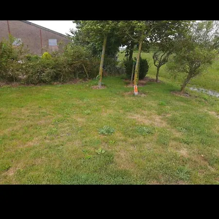 Empty Spot On Grass Camping The Tulip No Beds-2